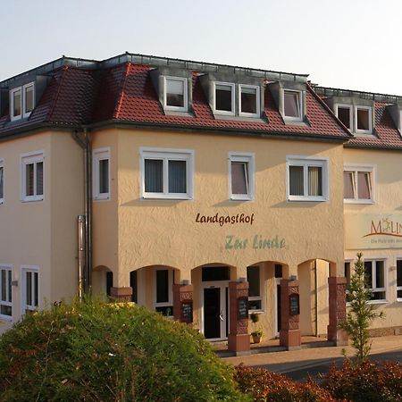 Hotel Linde Pfalz Silz  Bagian luar foto